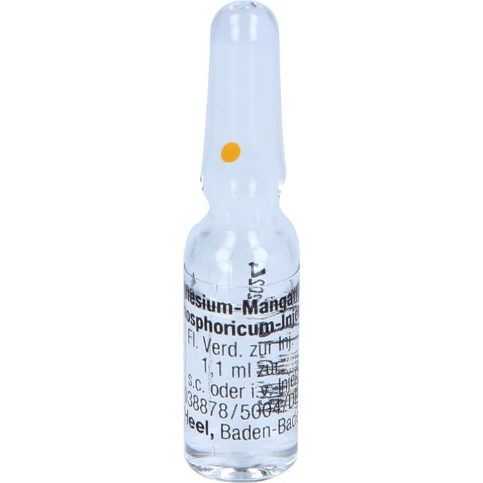 Magnesium Manganum phosphoricum Injeel Amp., 10 St. Ampullen