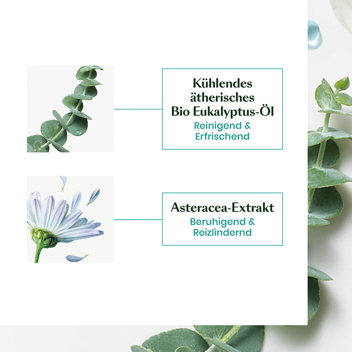 René Furterer ASTERA HEAD SPA Beruhigendes Konzentrat, 50 ml Concentré
