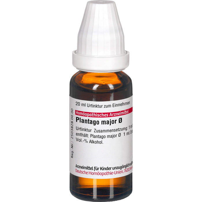 DHU Plantago major Urtinktur, 20 ml Solution
