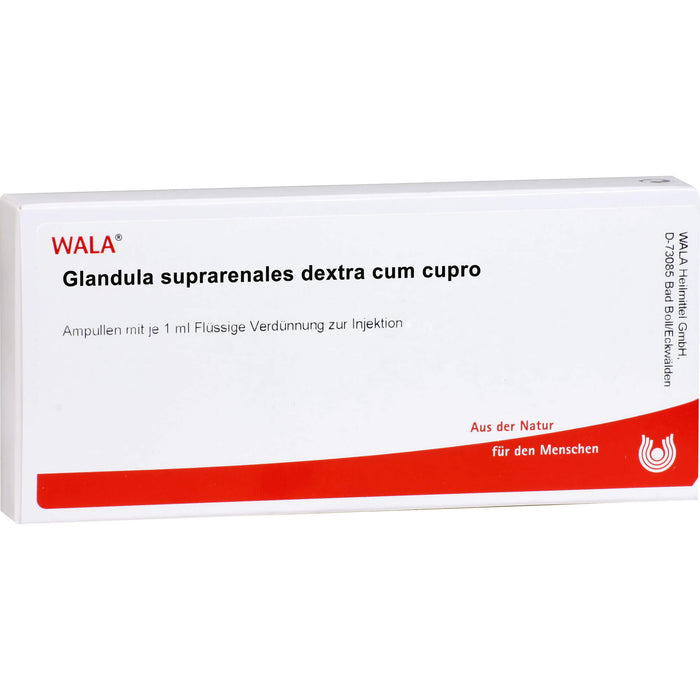 WALA Glandula Suprarenalis dextra cum Cupro flüssige Verdünnung, 10 pc Ampoules