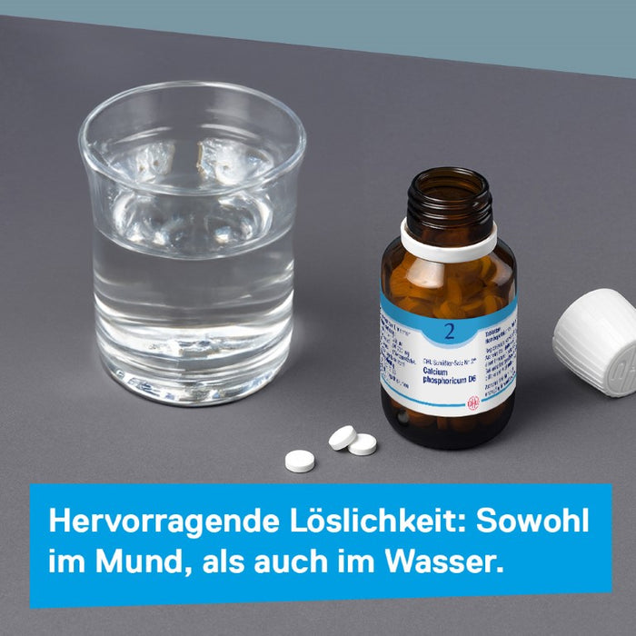 DHU Schüßler-Salz Nr. 2 Calcium phosphoricum D6, 420 St. Tabletten