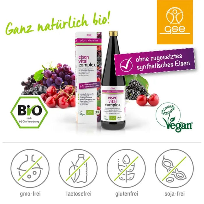 GSE Phyto Vitamins Eisen Vital Complex Lösung Bio, 330 ml Lösung