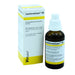 Lactovetsan-N für Tiere, Rinder, Pferde, Schweine, Schafe, Ziegen, Hunde, Katzen, 50 ml Lösung