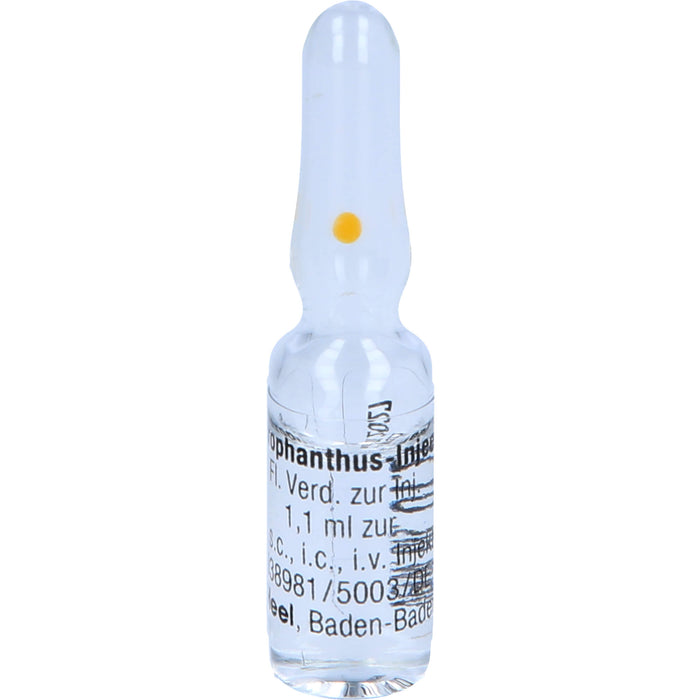 Heel Strophanthus Injeel flüssige Verdünnung, 10 pcs. Ampoules