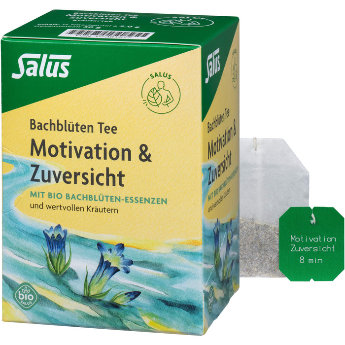 Salus Bachblüten Tee Motivation & Zuversicht bio, 15 St. Filterbeutel