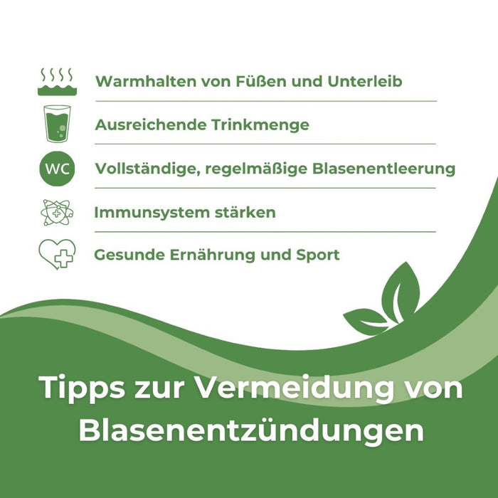 Acimol 500 mg Filmtabletten zur Harnansäuerung mit L-Methionin, 96 St. Tabletten