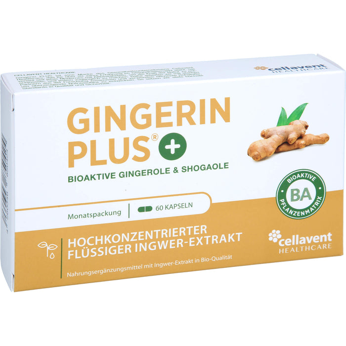 Gingerin Plus hochkonzentriertes flüssiges Ingwer-Extrakt Kapseln, 60 pcs. Capsules