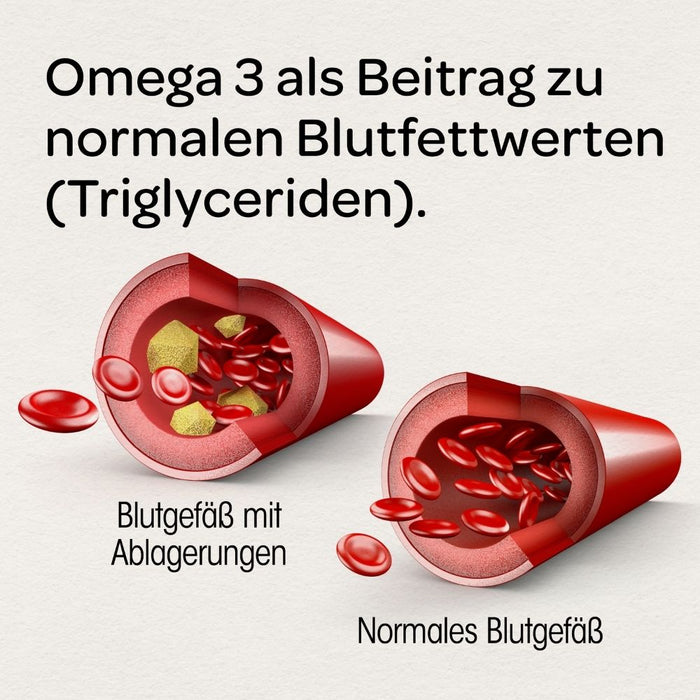 Dr. Böhm Omega-3 complex, 30 pc Capsules