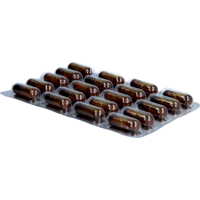 Gingerin Plus hochkonzentriertes flüssiges Ingwer-Extrakt Kapseln, 60 pcs. Capsules