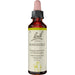 Bach-Blüte Honeysuckle, 20 ml Lösung