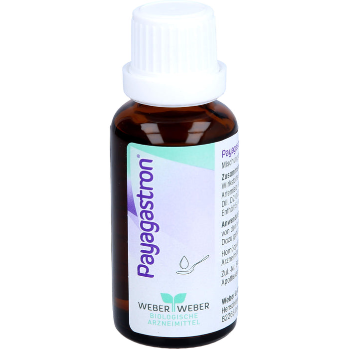 Payagastron Mischung bei Magenbeschwerden, 30 ml Solution