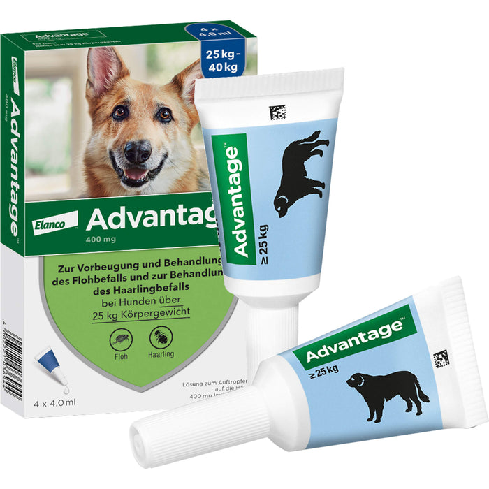 Elanco Advantage 400 bei Hunden 25 kg - 40 kg Lösung zur Vorbeugung und Behandlung des Floh- und Haarlingsbefalls, 4 pc Ampoules