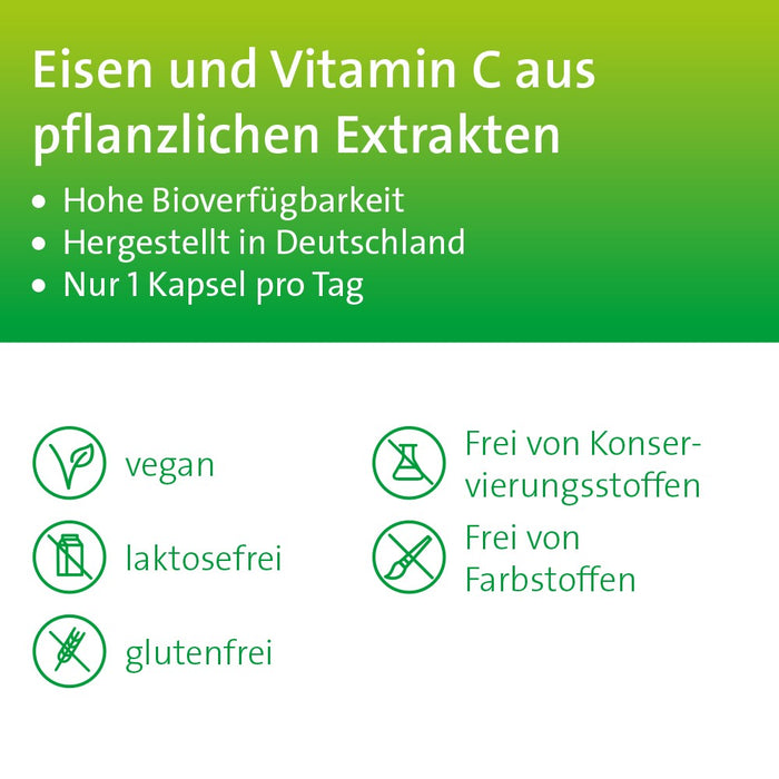 Eisen + C Hevert pflanzlich mit natürlichem Eisen und Vitamin C, 60 pc Capsules