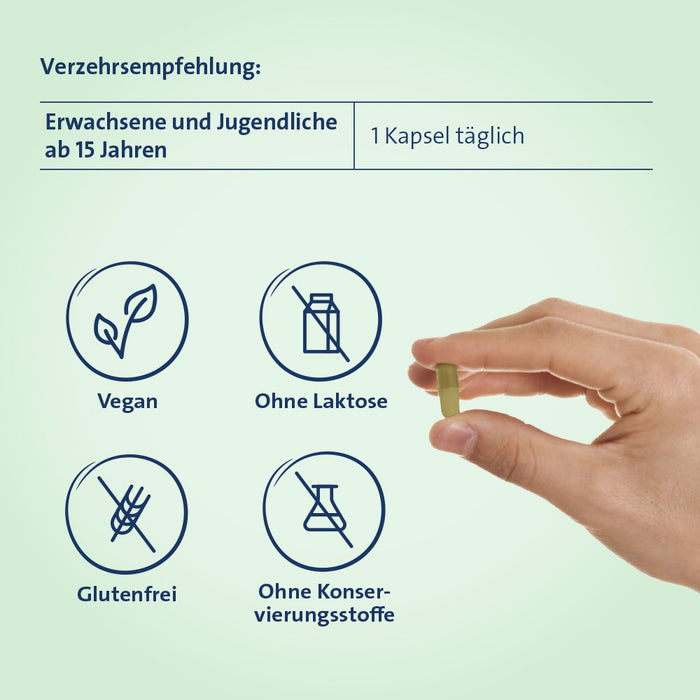 Eisen + C Hevert pflanzlich, 60 St. Kapseln