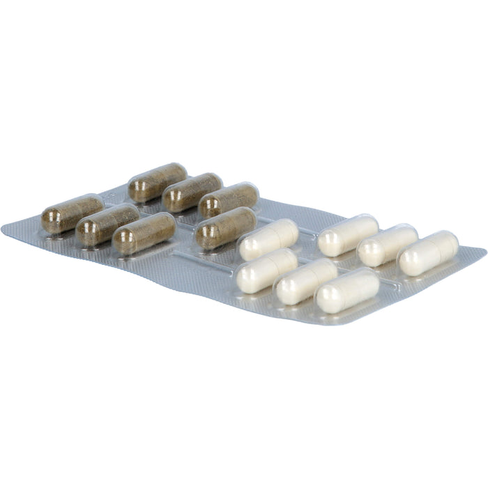 IberoBiotics Zen Kapseln für ein gutes Bauchgefühl in stressigen Zeiten, 14 pc Portions quotidiennes