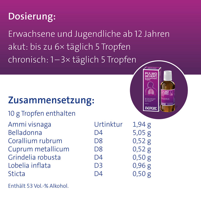 Pulmo Hevert Bronchialcomplex bei Entzündungen der Atemwege mit Husten, 100 ml Solution