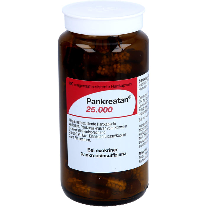 Pankreatan 25.000, Magensaftresistente Hartkapseln, 100 pc Capsules