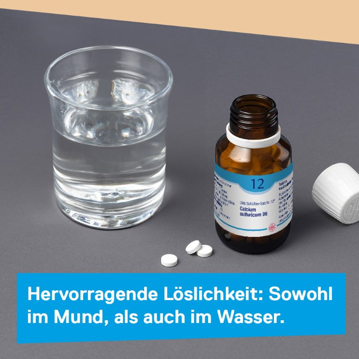 DHU Schüßler-Salz Nr. 12 Calcium sulfuricum D6, 420 St. Tabletten