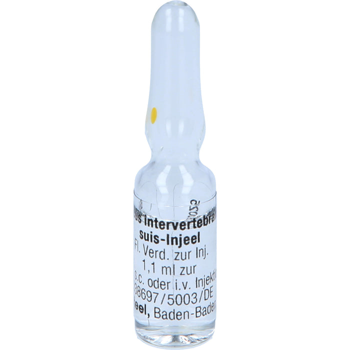 Heel Discus intervertebralis suis-Injeel flüssige Verdünnung, 10 pc Ampoules