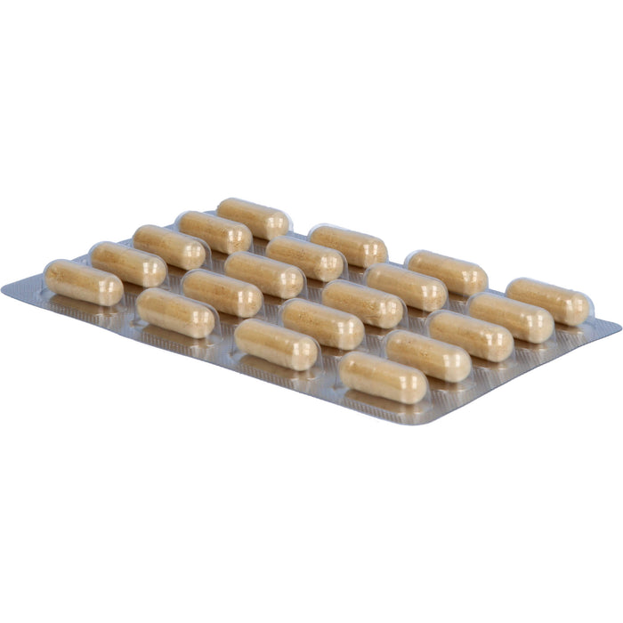 TERRA MUNDO Roter Ginseng 400 mg Kapseln, 120 St. Kapseln