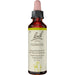 Bach Original Bach-Blüten Nr. 9 Clematis Weiße Waldrebe Tropfen, 20 ml Lösung