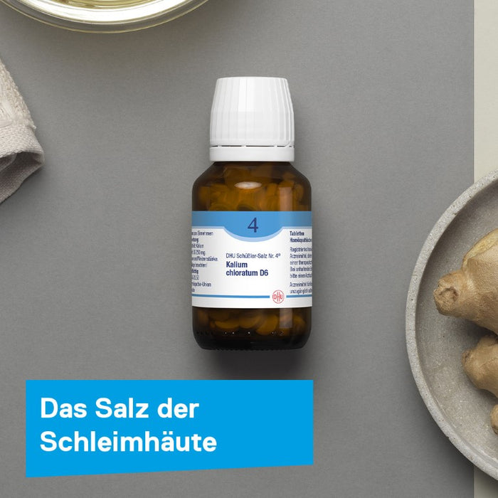 DHU Schüßler-Salz Nr. 4 Kalium chloratum D6, 420 pcs. Tablets