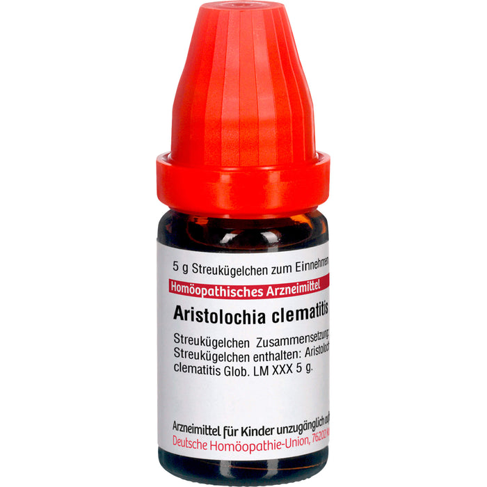Aristolochia clematis LM XXX DHU Globuli, 5 g Globules
