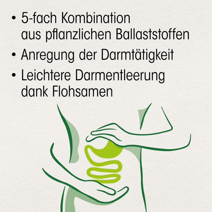 Dr. Böhm Darm aktiv, 6 St. Beutel