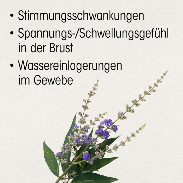 Dr. Böhm Mönchspfeffer 4 mg, 60 pcs. Tablets