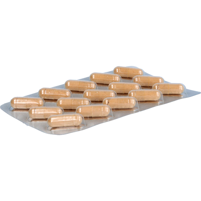 Immuno MensSana , 90 pc Capsules