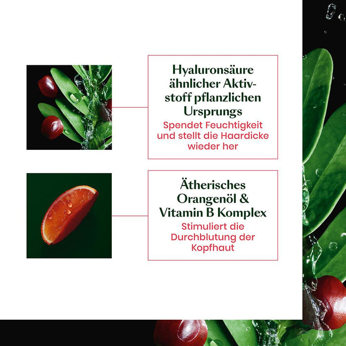 René Furterer Tonucia Natural Filler Shampoo, 600 ml Shampoing