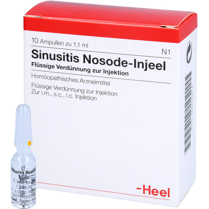 Heel Sinusitis-Nosode-Injeel flüssige Verdünnung, 10 pcs. Ampoules