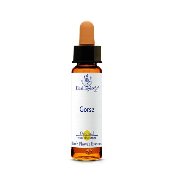 Bachblüten Gorse Healing Herbs Tropfen, 10 ml Tropfen