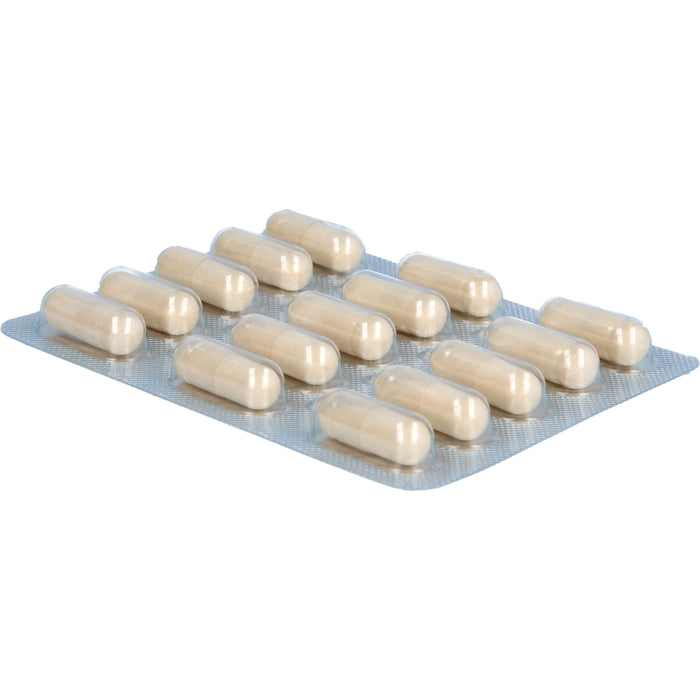Dekristolvit D3 2000 I.E pflanzliche Kapseln unterstützt das Immunsystem und  den Erhalt normaler Knochen und Muskeln, 120 pcs. Capsules