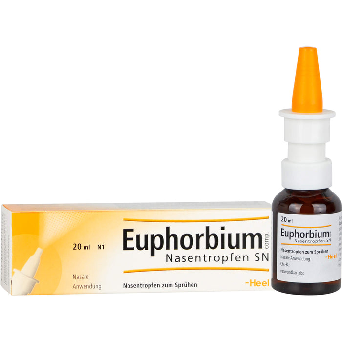 Euphorbium comp. Nasentropfen SN, 20 ml Solution