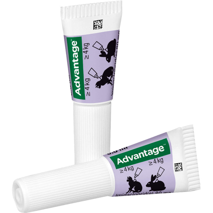 Advantage 80 mg für Katzen und Zierkaninchen über 4 kg Lösung, 3.2 ml Lösung