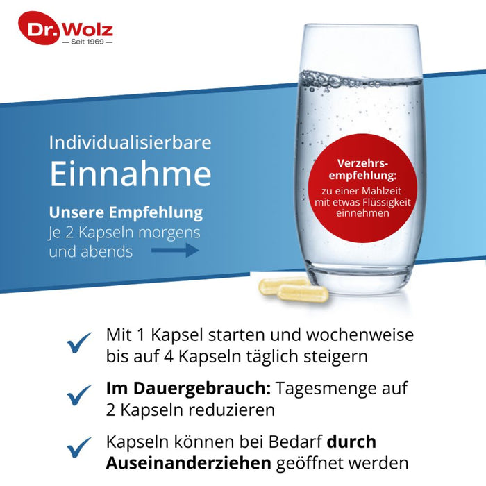 Dr. Wolz Darmflora plus select intens Kapseln, 40 pc Capsules
