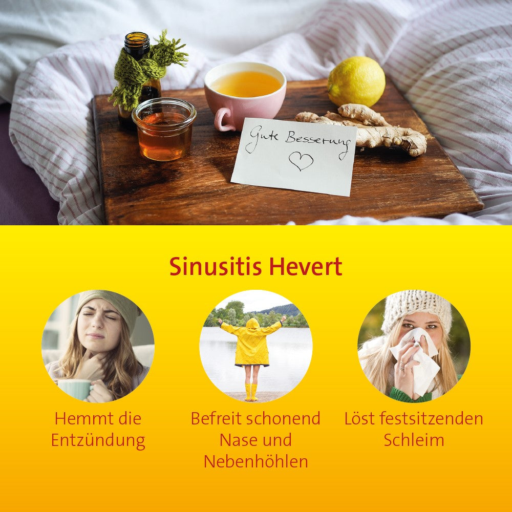 Sinusitis Hevert bei Schnupfen und Entzündungen der Nasennebenhöhlen, 40 St. Tabletten