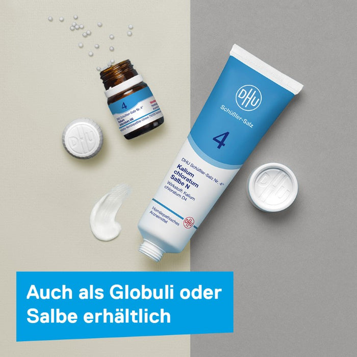 DHU Schüßler-Salz Nr. 4 Kalium chloratum D6, 420 pcs. Tablets