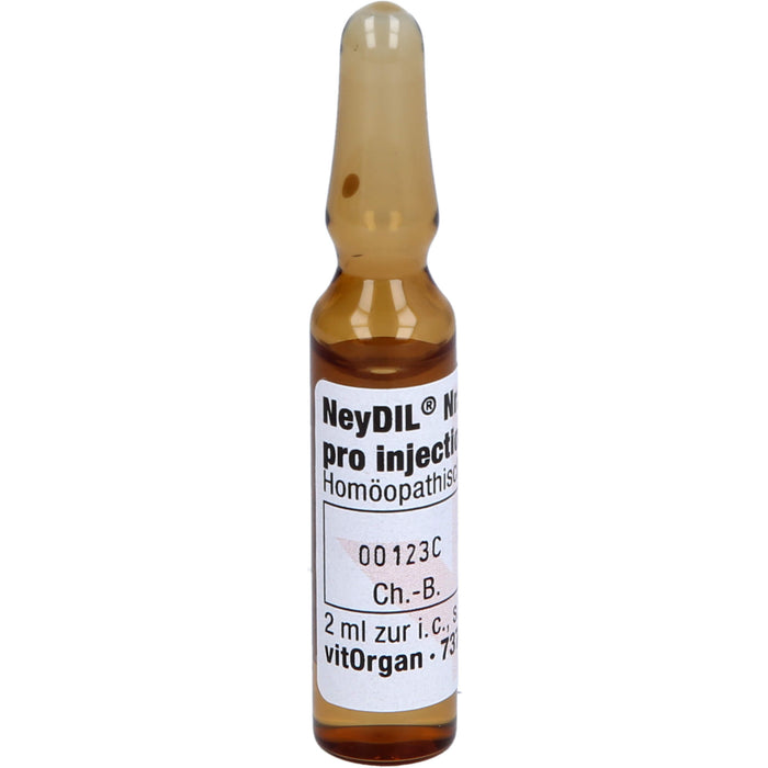 NeyDil Nr. 66 pro injectione St. II Amp., 5 ml Solution