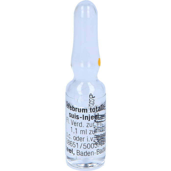Cerebrum Totalis Suis Injeel Amp., 10 pcs. Ampoules