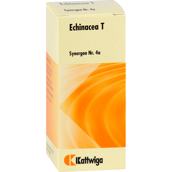 Synergon Komplex 4a Echinacea T Tabletten, 100 St TAB