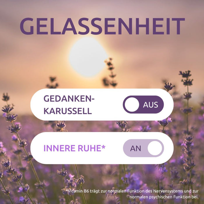 DR.THEISS Innere Ruhe Tabletten trägt zur normalen Funktion des Nervensystems bei, 30 pc Tablettes