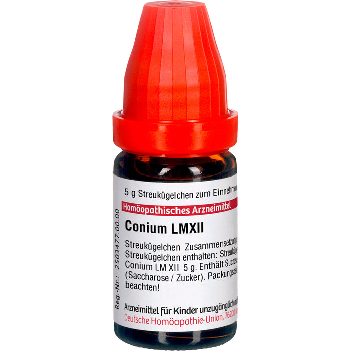 Conium LM XII DHU Globuli, 5 g Globules