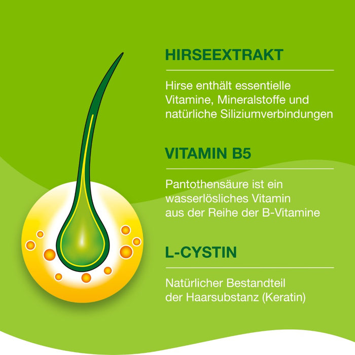 Priorin Kapseln für den Nährstoffbedarf der Haarwurzel, 120 pcs. Capsules