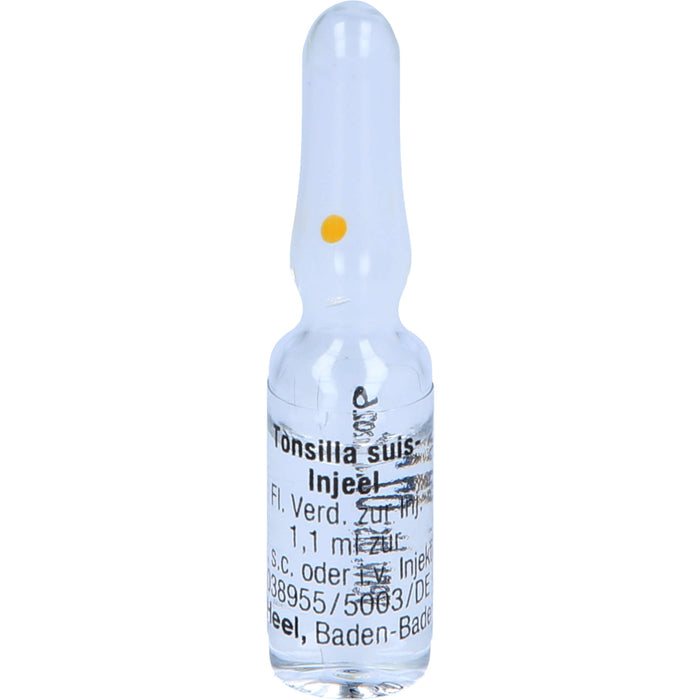 Tonsilla Suis-Injeel flüssige Verdünnung, 10 pc Ampoules
