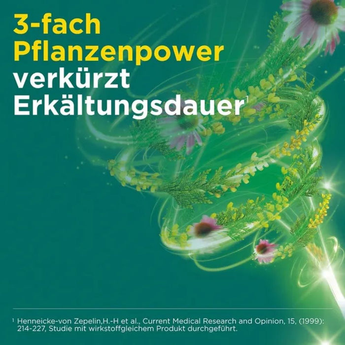 Meditonsin Extract Tabletten bei Erkältungskrankheiten, 20 pc Tablettes