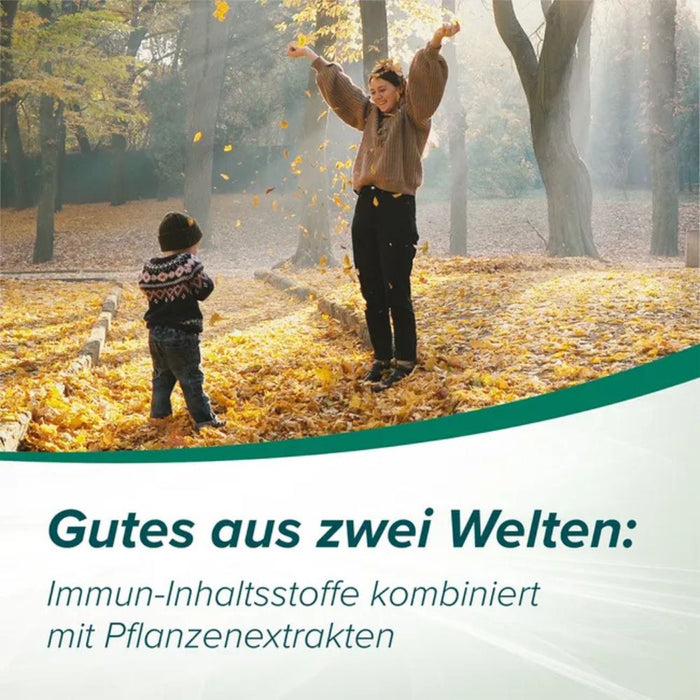Cetebe Immun Aktiv Tabletten für eine normale Funktion des Immunsystems, 30 pc Tablettes