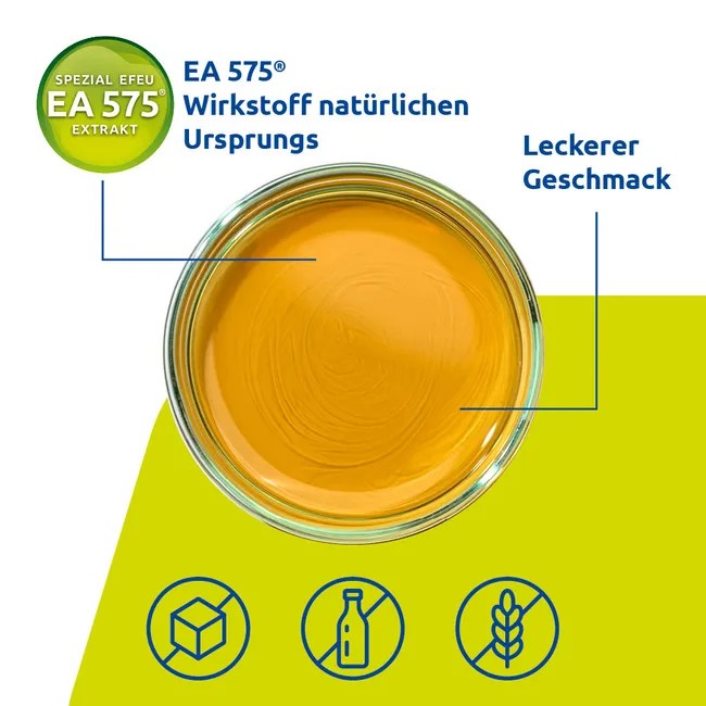 Prospan Hustensaft, 100 ml Solution