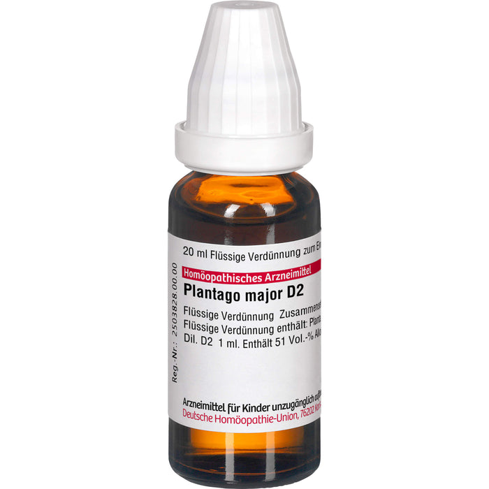 Plantago major D2 DHU Dilution, 20 ml Lösung
